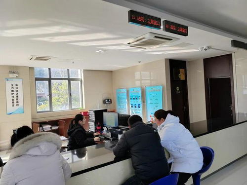 便捷惠民 延伸訴訟服務，啟東法院開通全國戶籍人口信息查詢功能